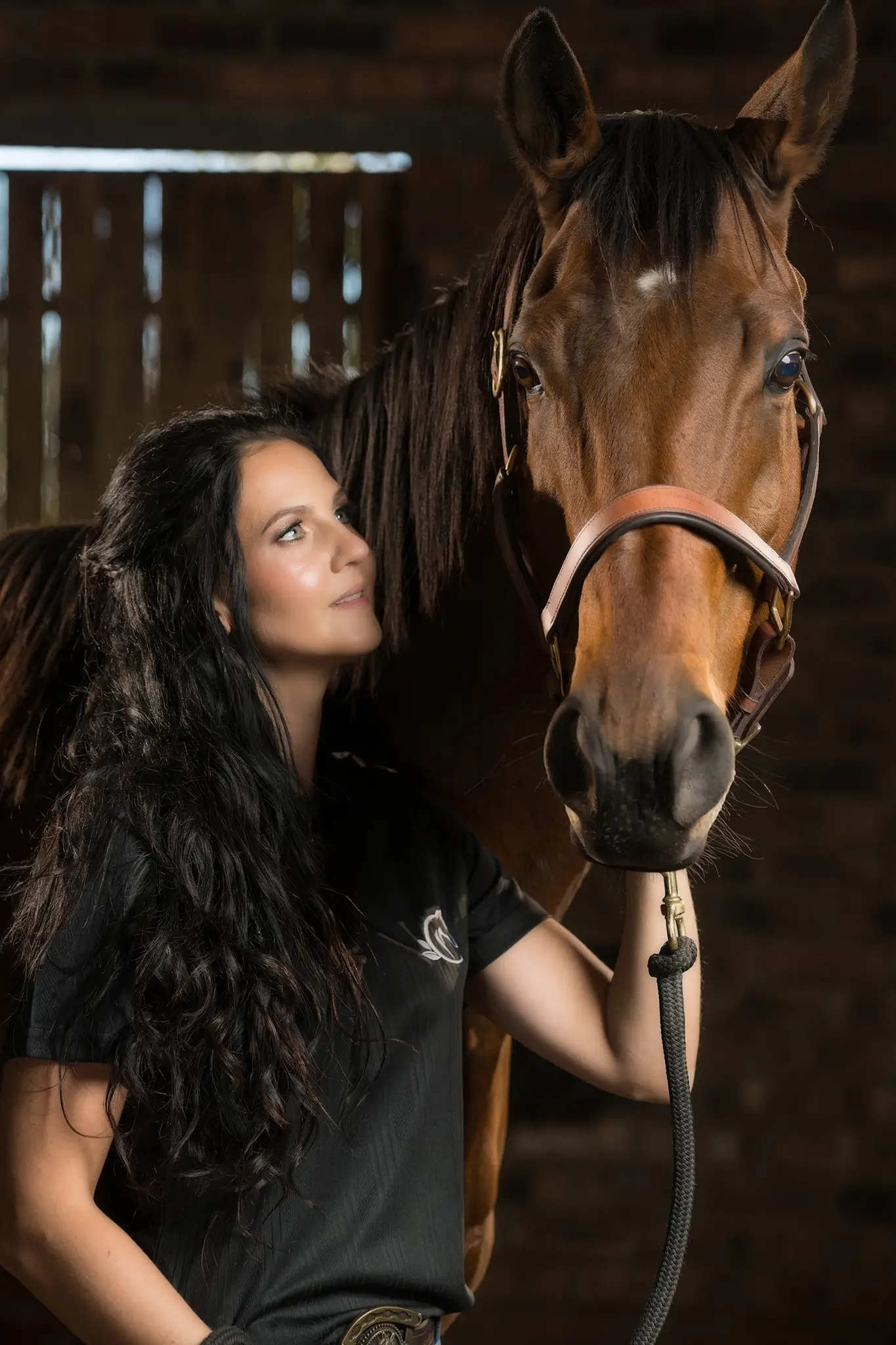 Mirando - Country Life Horse