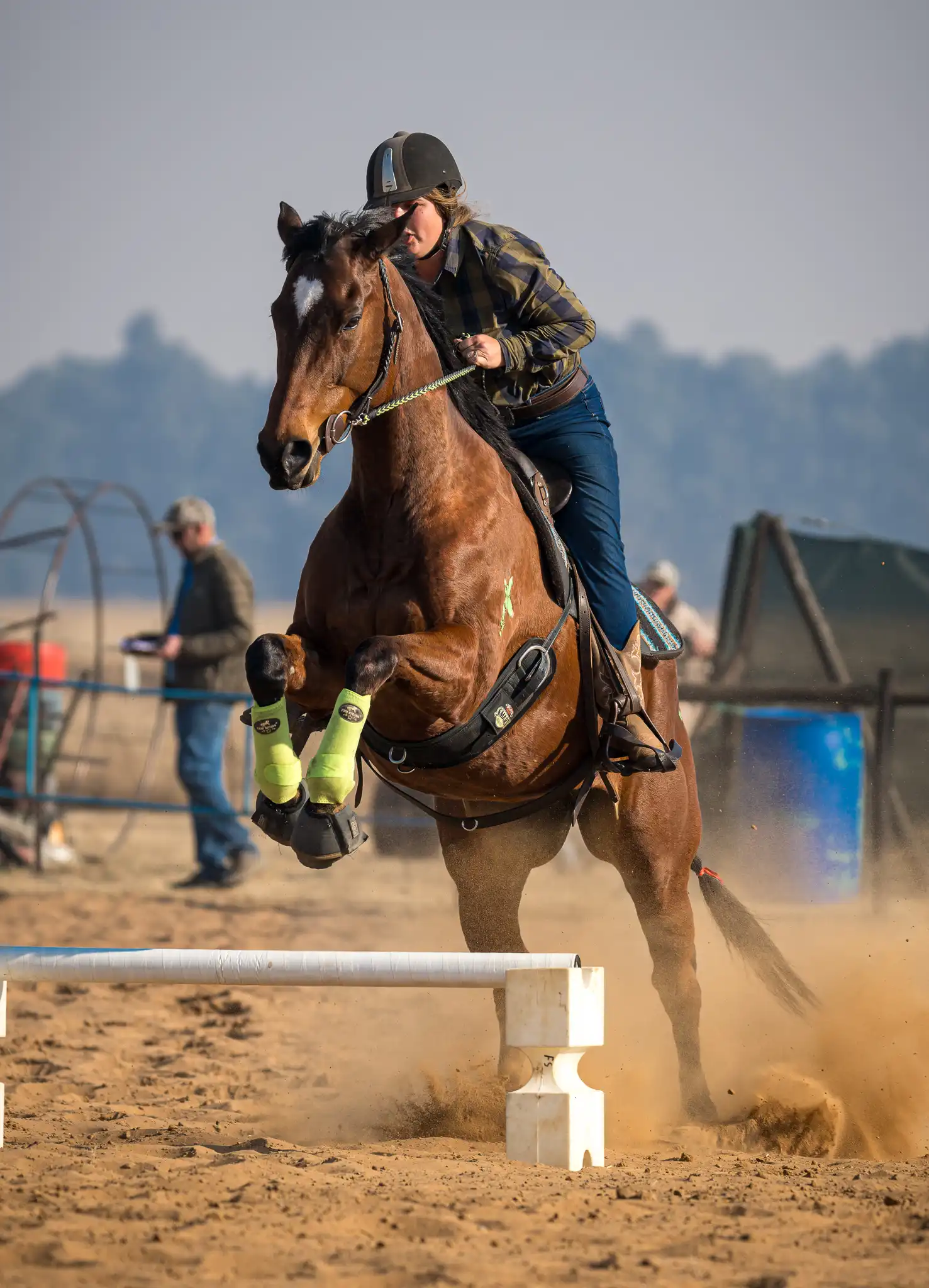 Horsemanship Course for Horses